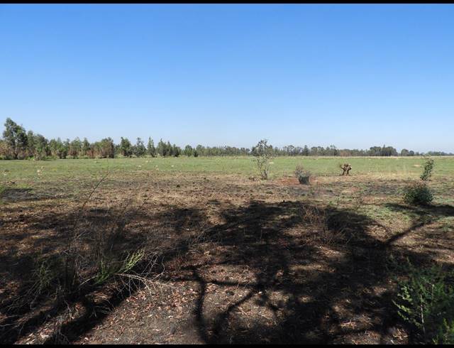 115,300M² VACANT LAND FOR SALE IN DE DEUR